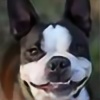 dogwizard468's avatar