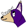 Dogxpert1's avatar