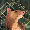 dojo-casino's avatar