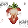 dolloctis's avatar