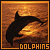 dolphins324's avatar