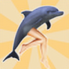 dolphinswithfaces's avatar