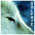 dolphye's avatar