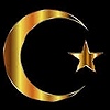 doludizgin124's avatar