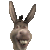donkeyplz's avatar