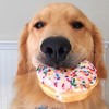 DonutBaB's avatar