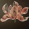 Dortha34's avatar