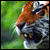 Doubtful-Della's avatar