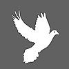Dove4030's avatar