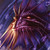 Dragon-Madness's avatar