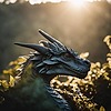DragonCreationsLLC's avatar