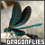 Dragonflies-Club's avatar