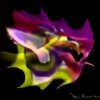 dragonhearts569's avatar