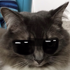 dragonqueenthe1st's avatar