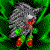dragonthehedgehog1's avatar