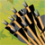 drakandar's avatar