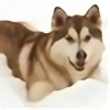 drakwolfshadows's avatar