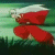 DramaQueen-19947's avatar