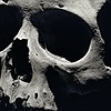 Dreader25's avatar