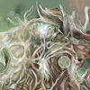 Dreadspino's avatar