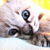 DreamingDraw's avatar