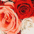 DuchessDread's avatar