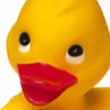 Duck-act-2013's avatar
