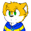 Duck-Foxx's avatar