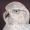duck-hawk's avatar