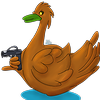Duckbang's avatar