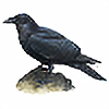 Dusky-Raven's avatar