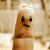 dusty-soul's avatar
