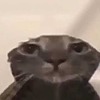 e22337egdgfre's avatar