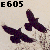 E605's avatar