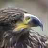 Eagle1165's avatar
