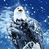 EagleClaws228's avatar