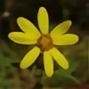 Earthflower9000's avatar
