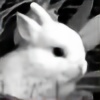 Easter-Bunny's avatar