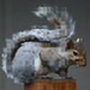 EasternGraySquirrel's avatar