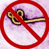 Ebolahunter's avatar
