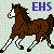 Echo-Hoof-Stables's avatar