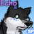 Echo-of-the-Stars's avatar