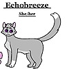 EchobreezeTheWarrior's avatar