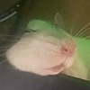Eclendo's avatar