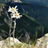 edelweiss-workshop's avatar