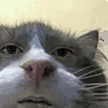 EdenThePapaya's avatar