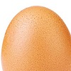 eggyolksarecyclable's avatar