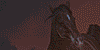 el-caballo's avatar