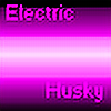 electrichusky's avatar