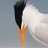 Elegant-Tern's avatar